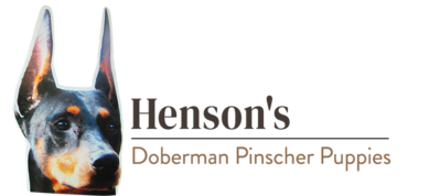 Henson's Doberman Pinscher Puppies Logo